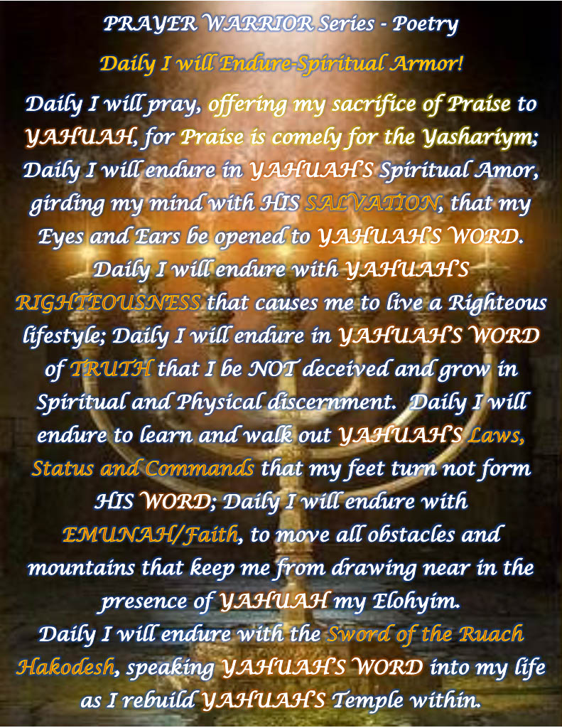 Prayer Warrior Daily I Will Endure -Spiritual Armor