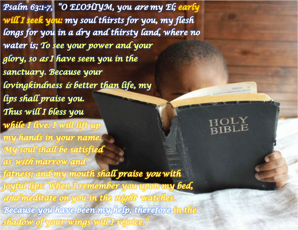 child reading the Holy Bible