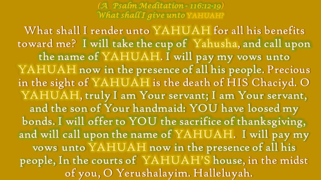 Psalm Meditation, What Shall I give unto YAHUAH! I shall give the sacrifice of thanksgiving and call upon the name of YAHUAH!